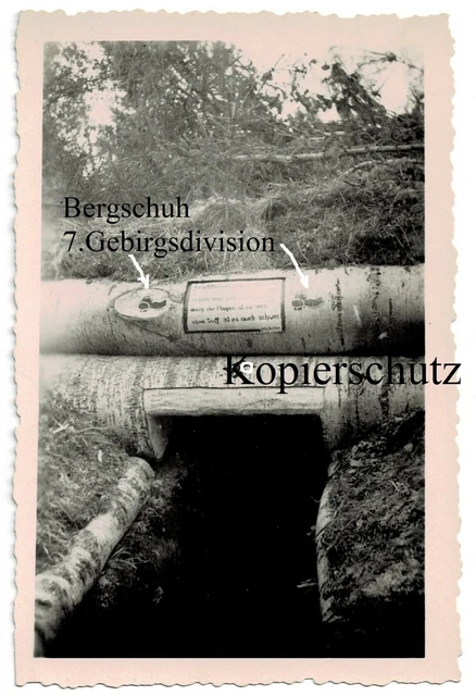 Birkenstamm Bunker mit Schnitzerei, Divisionswappen Bergschuh 7.Gebirgsdivision