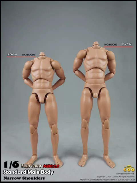 COOMODEL BD002 STANDARD Body Narrow Shoulders 2.0 Male Body 1/6 Scale  Figure To $27.51 - PicClick