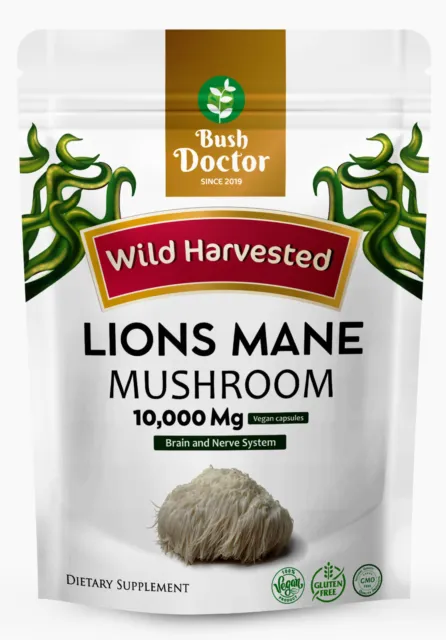 Lions Mane Pilz Extrakt Kapseln 10.000 mg 240 mg Polysaccharide stark vegan