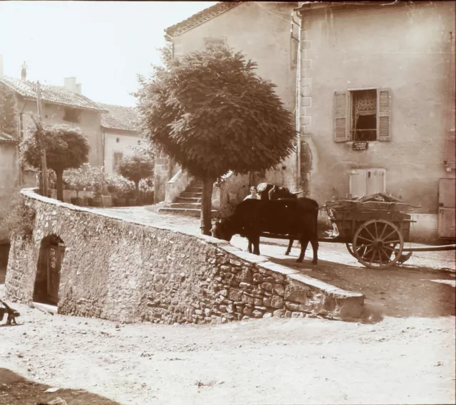 Village de France Stereo Photo Cart PL58L5n3 Glass Plate c1920