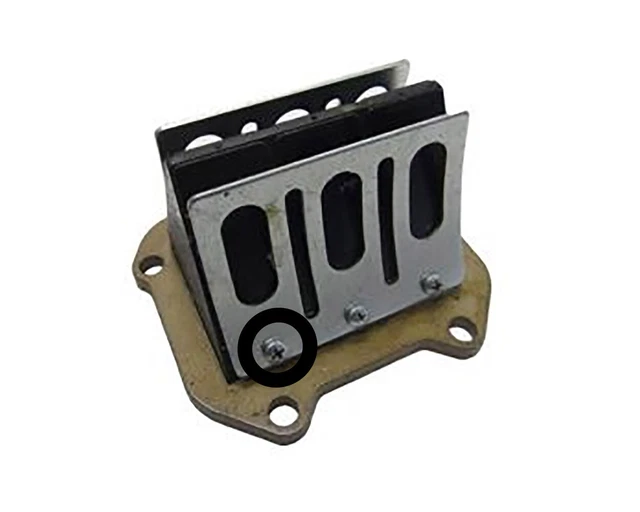 Karting Rotax Max Replacement Vis Pour Reed Bloc 2020 3 X 6mm Véritable Course