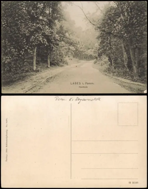 Postcard Labes Łobez Hainholz - Pommern 1914