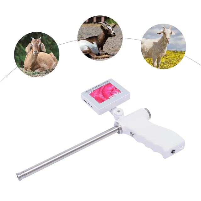 360°Rotation Visual Artificial sheep Insemination Gun Kit 5MP Camera 3.5"Screen