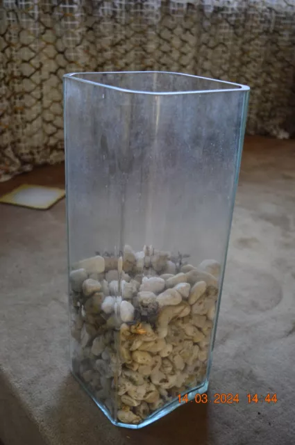 schwere Glasvase hochwertige Bodenvase 45 cm Höhe (Selbstabholung in Bonn)
