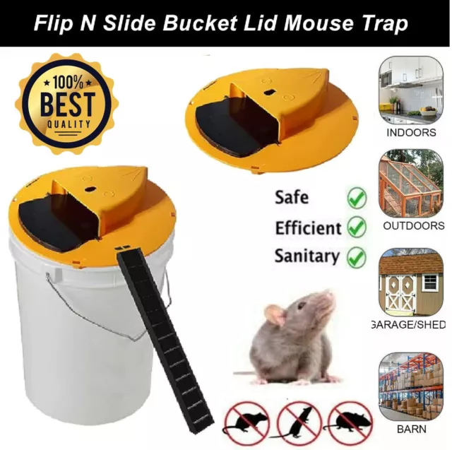 https://www.picclickimg.com/RV4AAOSw00Bk204I/Mouse-Trap-N-Flip-Slide-Bucket-Lid-Mouse.webp