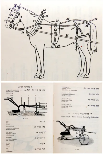 1948 Palestine PICTURE DICTIONARY Israel JEWISH BOOK Judaica FARMING Hebrew RARE