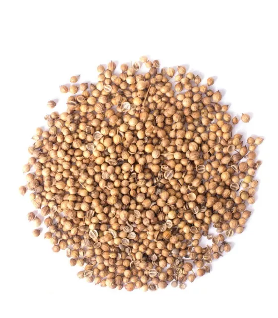 Coriander Seeds Grade A Premium Quality Whole Coriander Seed Spices & best