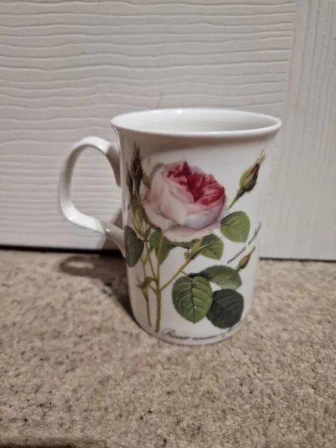 Roy Kirkham Coffee Cup Tea Cup Mug Redoute Roses