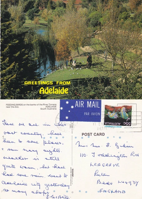 1980's FEEDING BIRDS RIVER TORRENS ADELAIDE SOUTH AUSTRALIA COLOUR POSTCARD