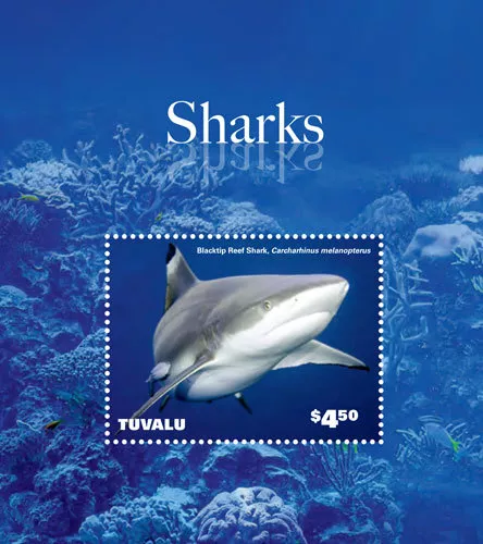 Tuvalu 2014 - Marine Life - Sharks - Souvenir Stamp Sheet - MNH