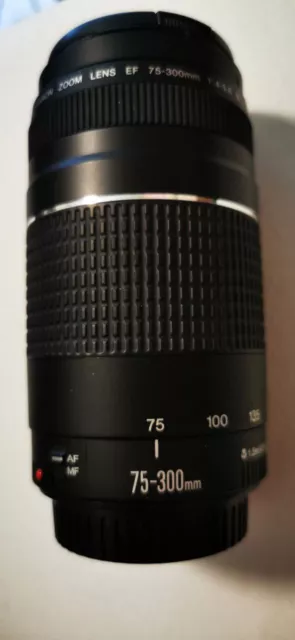 Canon ZOOM LENS EF 70-300 1:4-5,6 iii Teleobjektiv