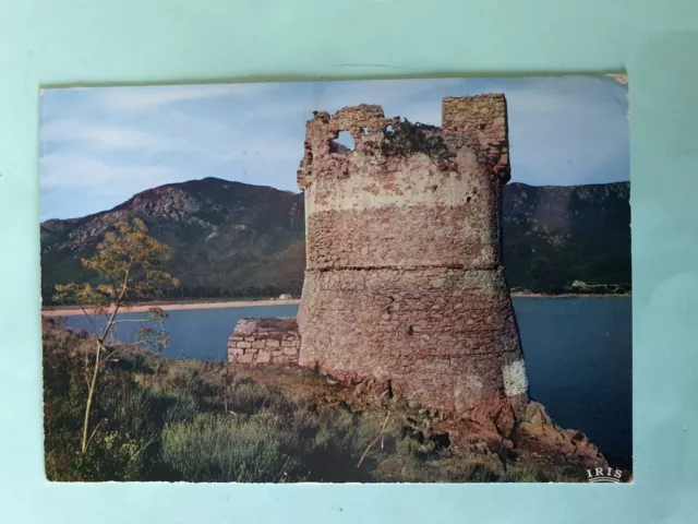 Carte Postale de Corse GF 1971 La tour de Sagone