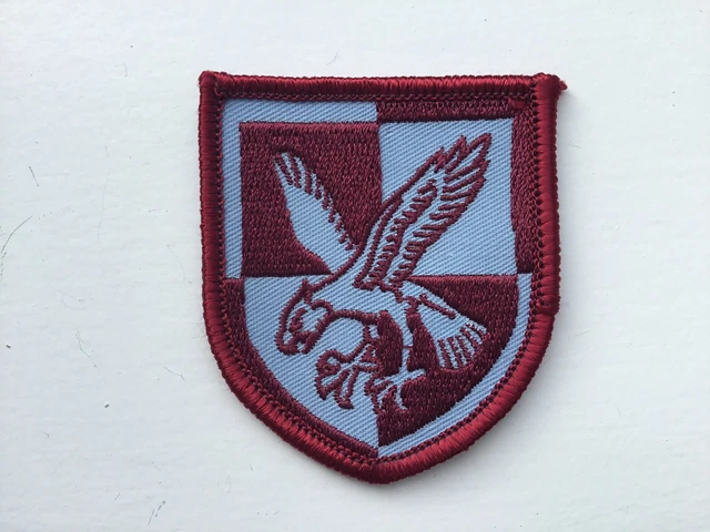 Véritable British Army 16th Air Assaut Régimentaire Flash Trf - Foto 4