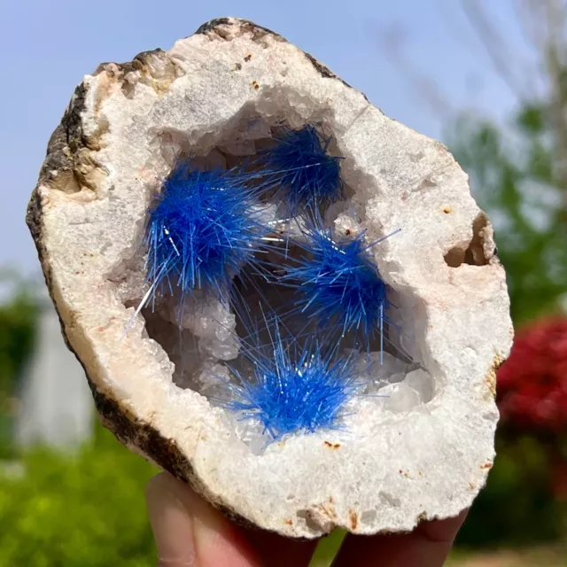 287G Rare Moroccan blue magnesite and quartz crystal coexisting specimen