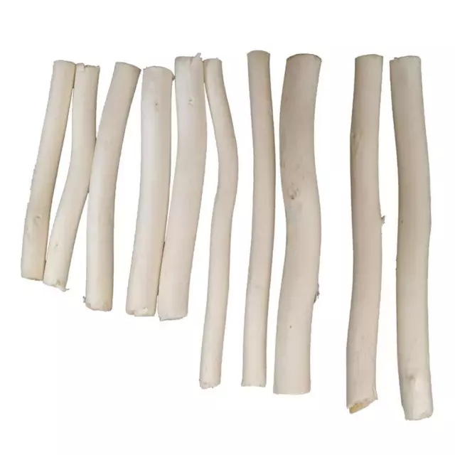 3x20 Pieces Wood Sticks Natural Tree Branch Wooden Sticks DIY Craft Photo Prop