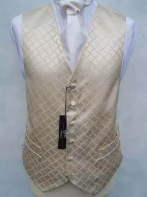 Da Uomo Nuovo Oro Diamante Matrimonio Abito Gilet 34 38 40 42 46 48 50 52 54 56
