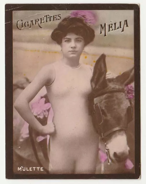 Cigarettes Melia Algeria Tobacco Card Bodystocking Nude Mulette girl with donkey