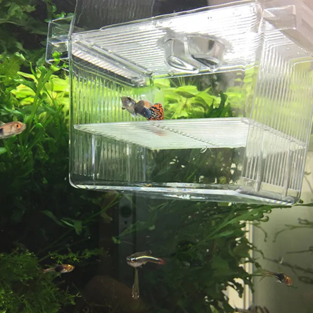 Transparent Acrylic Aquarium Hatchery Box Fish Tank Isolation Box Incubator