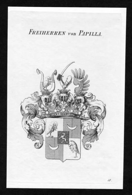 1820 - Papilla Escudo Nobleza Abrigo De Arms Heraldry Heráldica Grabado