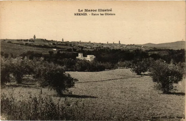 CPA AK MEKNES - Entre les Oliviers MAROC (796586)