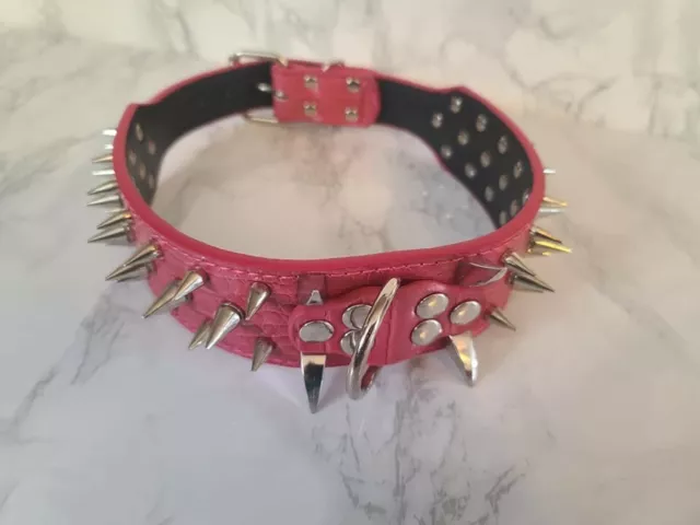 24"L Dog Collar Studded Spikes Rivet PU Leather 2.15" W (L & XL Dogs)