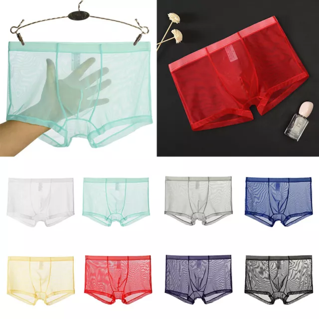 Sexy Mens Sheer See Through Boxer Shorts Briefs Underwear Mesh Trunks Underpants