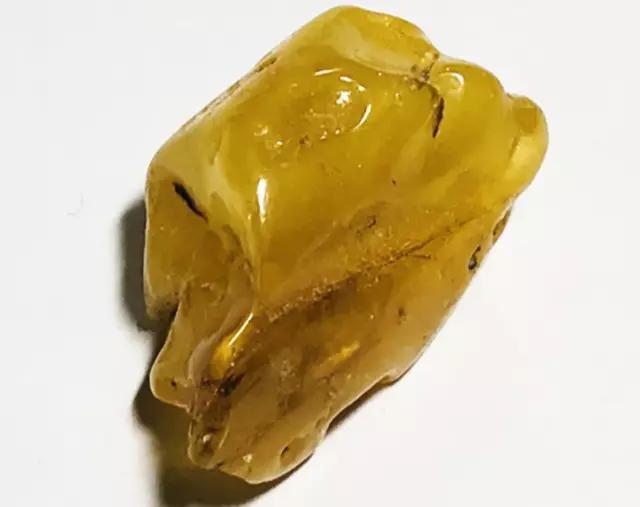 Natural Baltic Amber piece Amber Stone Amber Raw  Genuine amber stone