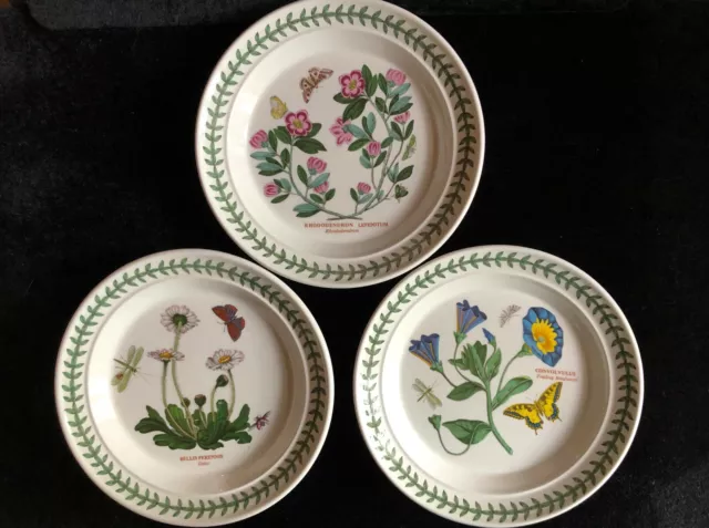 3 petites assiettes céramique décor botanique