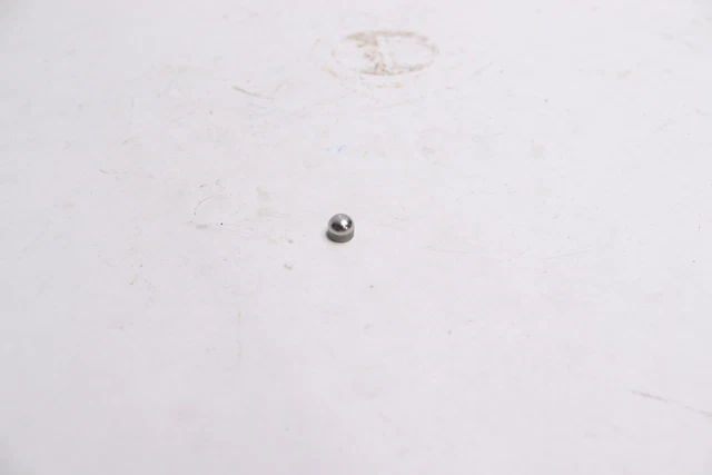 (3-Pk) Waterjet Depot Check Valve 011039-1
