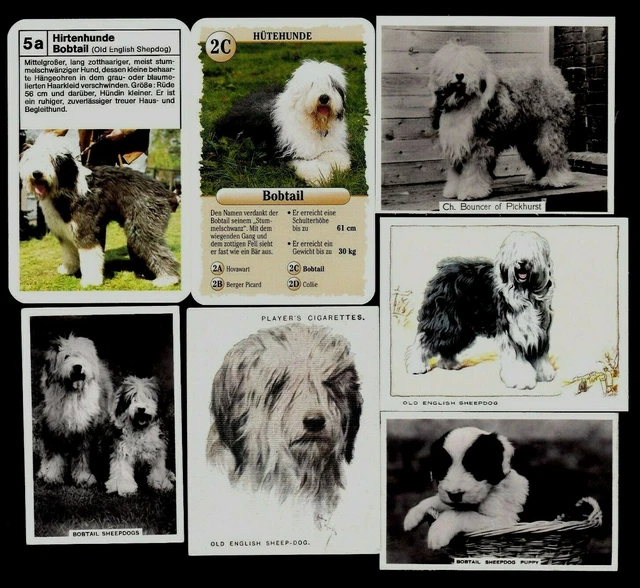 15 Different Vintage OLD ENGLISH SHEEPDOG Tobacco/Cigarette/Tea Dog Cards Lot