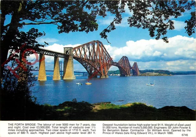 Picture Postcard: The Forth Bridges, Rail and Road