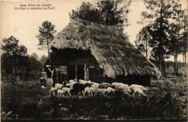 CPA Dans les Landes - Un Parc a Moutons en Foret (776765)