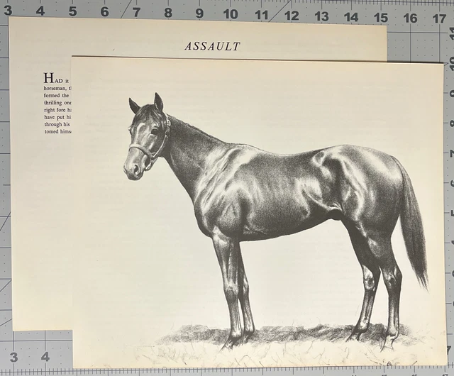 Assault By C W Anderson Vintage Race Horse Print From The Smashers See Photos