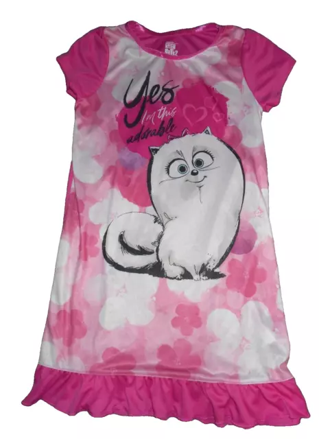 Secret Life Of Pets Girls Size 10 Nightgown