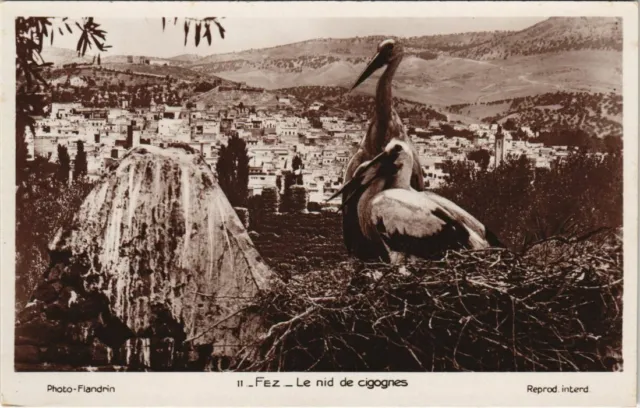 CPA AK MAROC FEZ Le nid de cigognes Flandrin (37786)