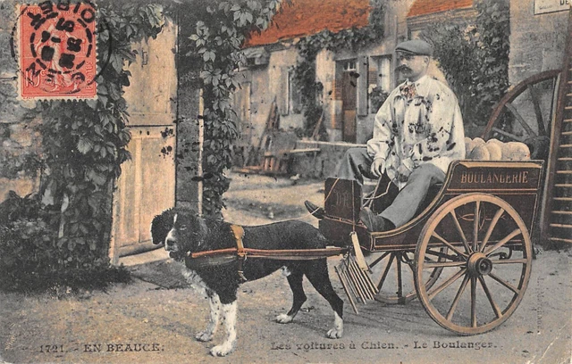 RARE BRUXELLES BELGIQUE cpa Attelage de chiens Laitière Flamande Bon Etat 1910 EUR 25,90