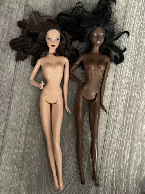 Lot of (2) Barbie model muse dolls READ*