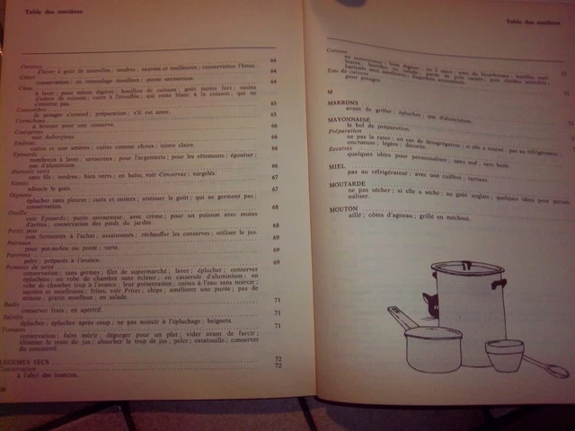ANCIEN LIVRE DE Recette Cuisine De Grand Mere Mille Trucs Pour La