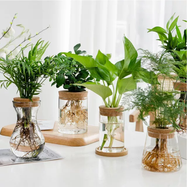 Tabletop Hydroponic Plant Glass Vases Wooden Corks Flower Pot Office Home Decor