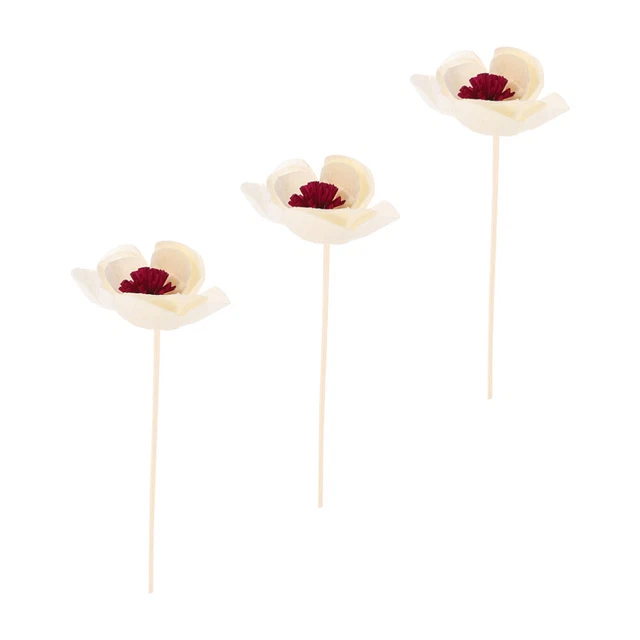 Difusor de aroma aromaterapia flores secas aromaterapia flores fragancia