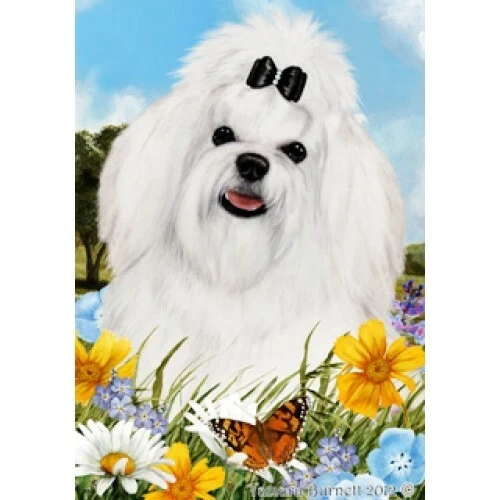 Summer Garden Flag - Maltese 180411