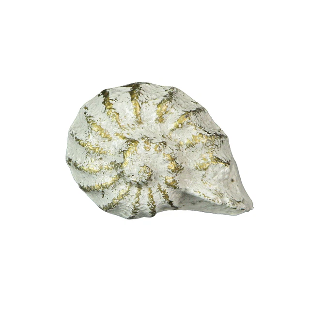 Rustic Cast Iron Nautilus Shell Drawer Pull Cabinet Knob Nautical Décor Set of 6