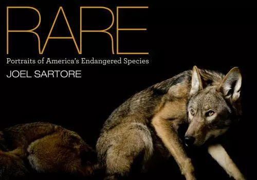 NATIONAL GEOGRAPHIC RARE: Portraits of America's Endangered Species ...