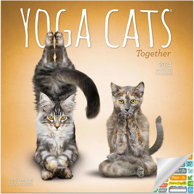 YOGA CATS TOGETHER Calendar 2025 Deluxe 2025 Yoga Cats Wall Calendar