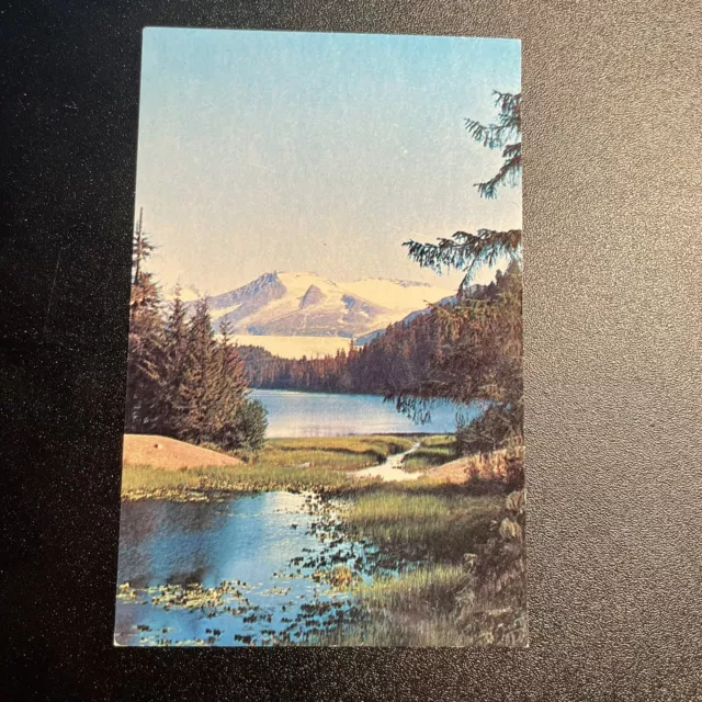 Juneau AK, Mendenhall Glacier Mountain Vintage  Alaska Postcard B3