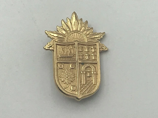 Heraldic coat of arms of the city of Warsaw Poland | Premium AI
