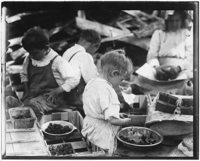 500 Page LEWIS HINE Progressive Era Child Labor Teacher History Photo Book on CD