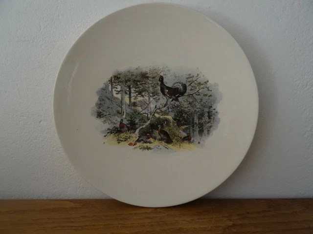 Assiette Ancienne Sarreguemines XIXe - Humour 'Chasse à L'ours', Faïence, Dorure Légère