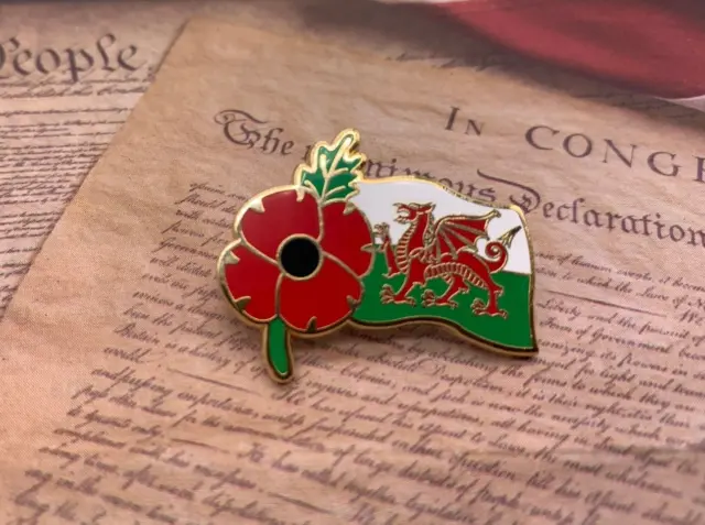 Wales Red Dragon and Red Poppies Pin Badge Brooch Lest We Forget Veteran Soldier