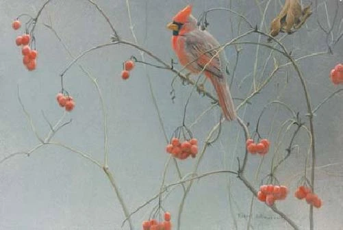 Robert Bateman Highbush Cranberries - Cardinal